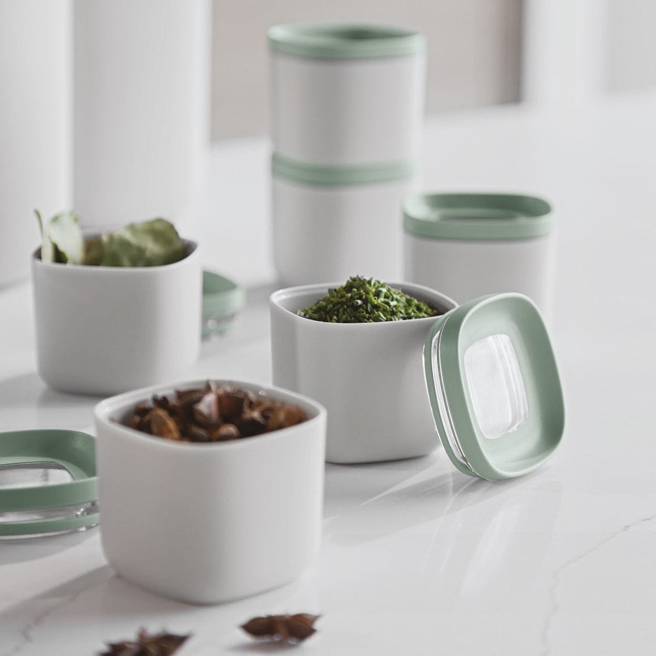 BergHOFF Voorraadpotten Kruidenpotjes - Lucht- en Waterdicht - 6-delige set | Leo
