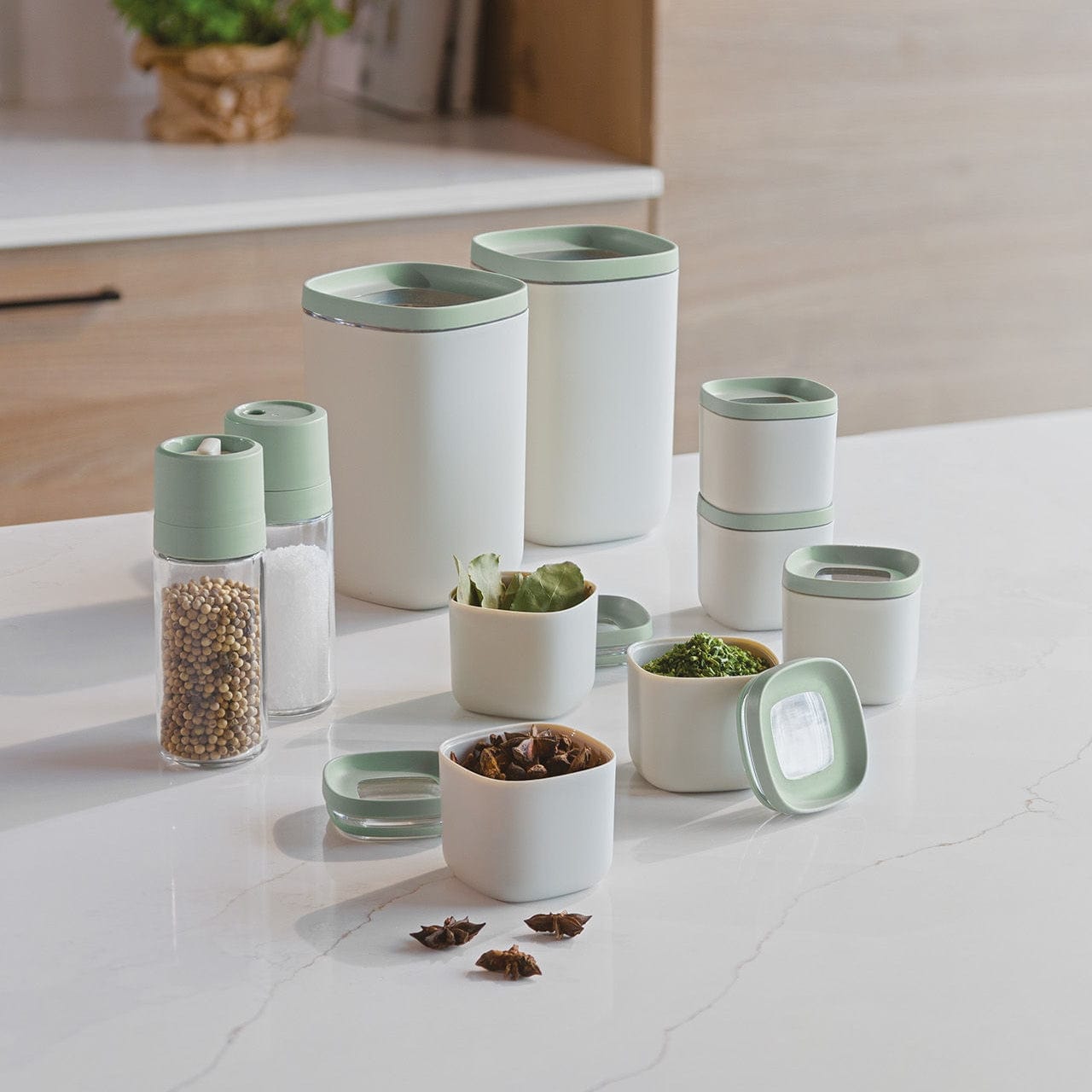BergHOFF Voorraadpotten Kruidenpotjes - Lucht- en Waterdicht - 6-delige set | Leo