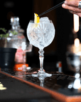 RCR - Cristalleria Italiana Glazen Gin tonic glazen 65cl - 6-delige set | Melodia